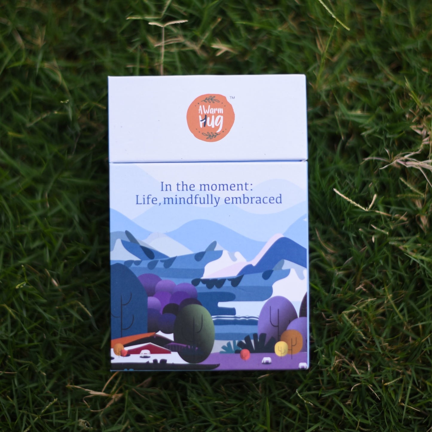 In the moment: Life, mindfully embraced