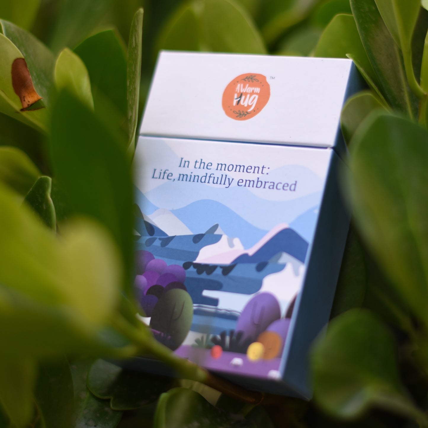 In the moment: Life, mindfully embraced