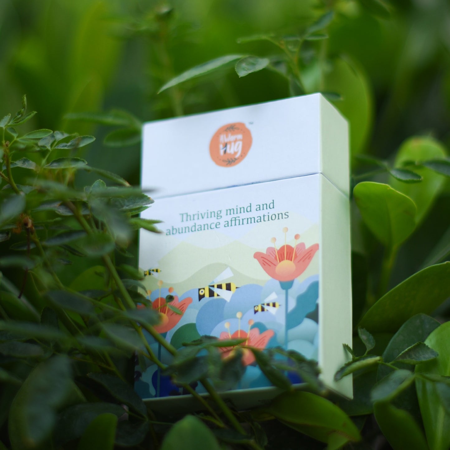 Thriving mind and abundance affirmations