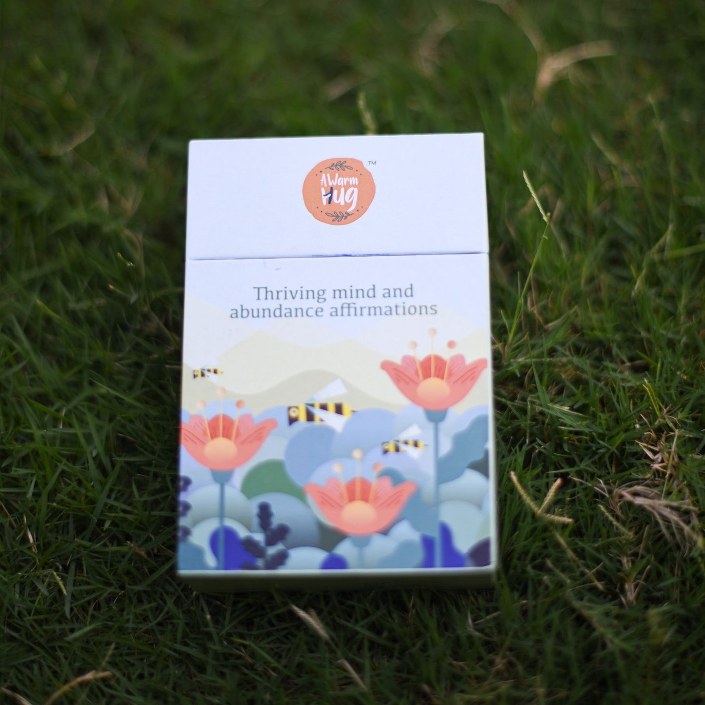 Thriving mind and abundance affirmations