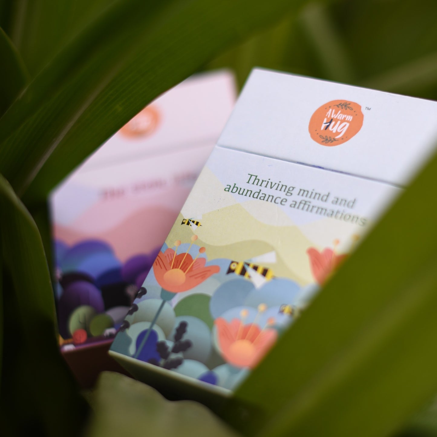 Thriving mind and abundance affirmations